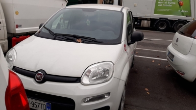 FIAT